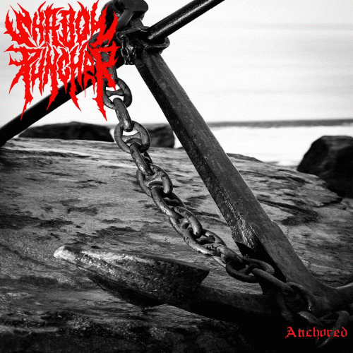 Shadow Puncher : Anchored